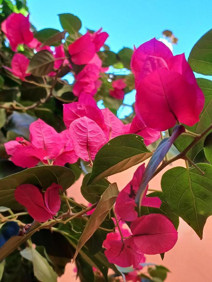 פאראטי Suites Canto Do Pontal מראה חיצוני תמונה